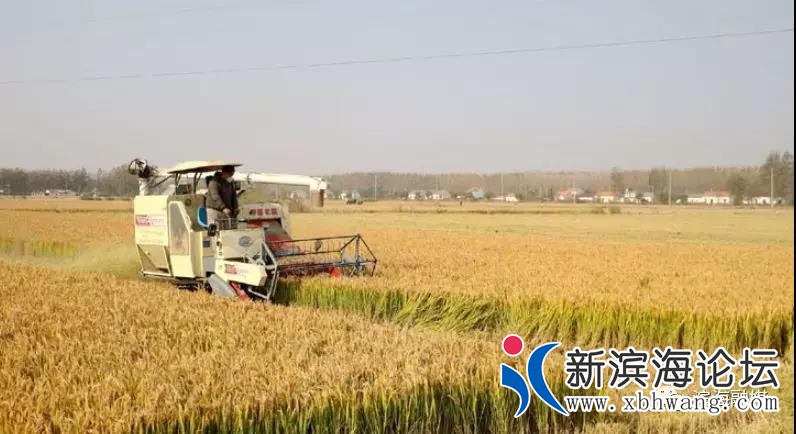 微信图片_20191102093332.jpg