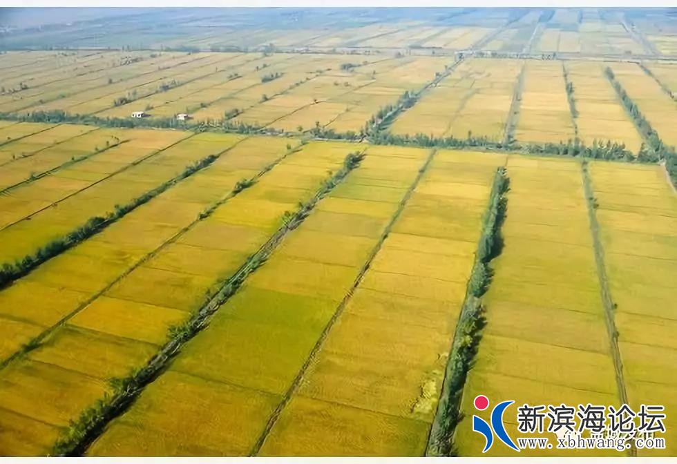 微信图片_20191102093741.jpg