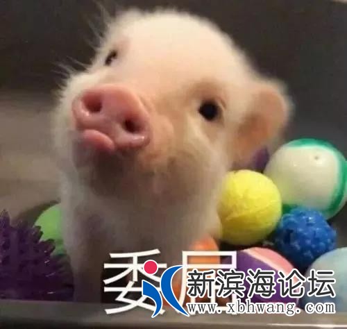 微信图片_20191102113233.jpg