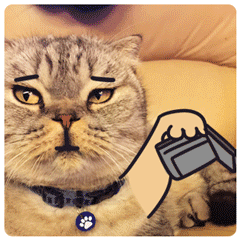 微信图片_20191103094621.gif
