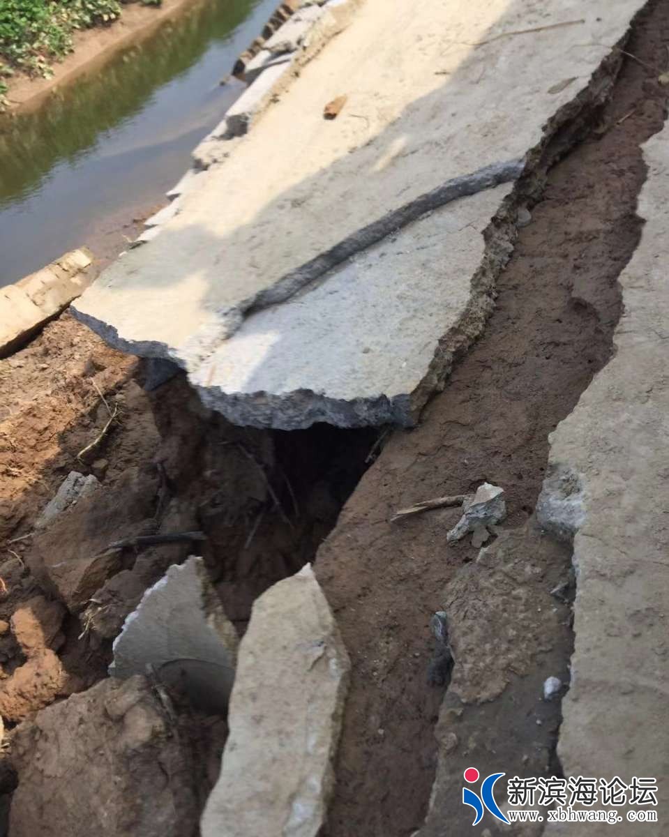 095357zoux4oytjo9kmzzj.jpg