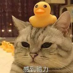 微信图片_20191106105203.jpg