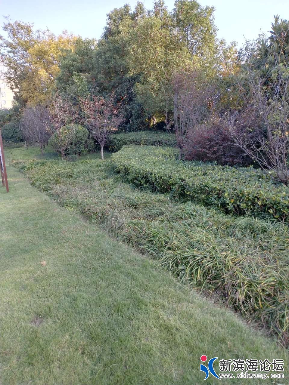 20191108_63631_1573195806835.jpg