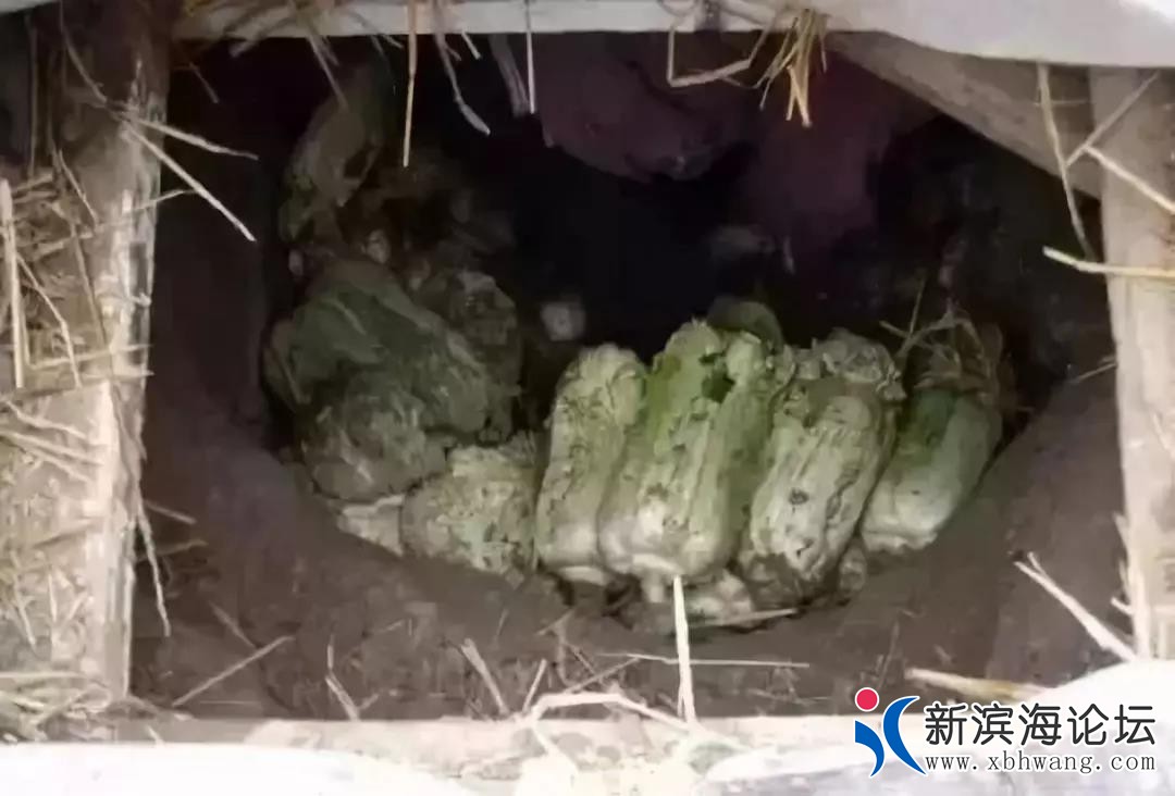 微信图片_20191112084557.jpg