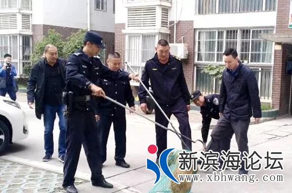 微信图片_20191115102136.jpg