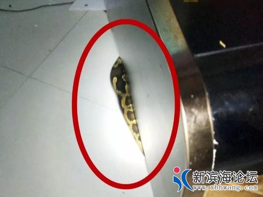 微信图片_20191117094842.jpg