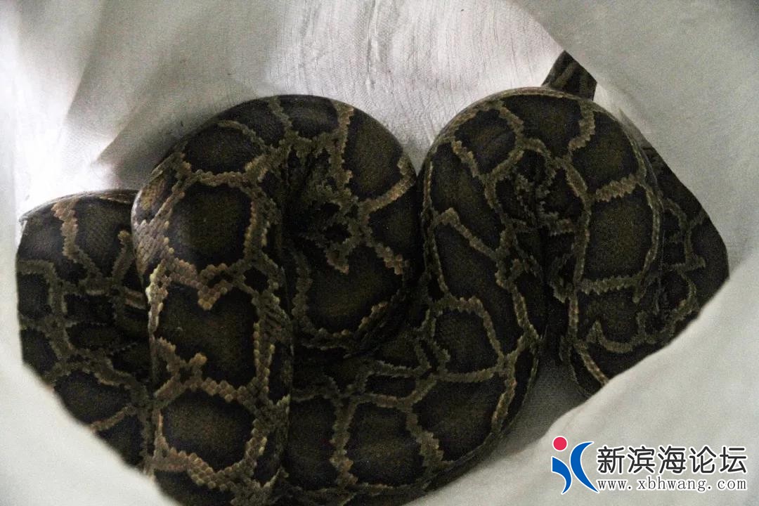 微信图片_20191117094850.jpg