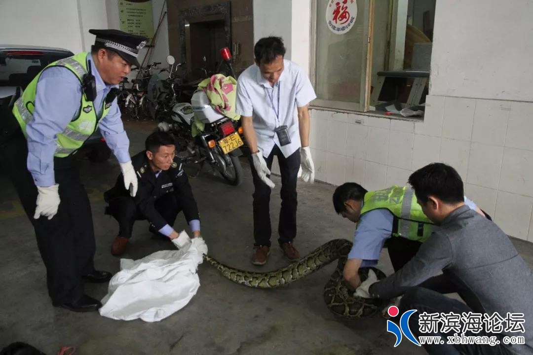 微信图片_20191117094854.jpg