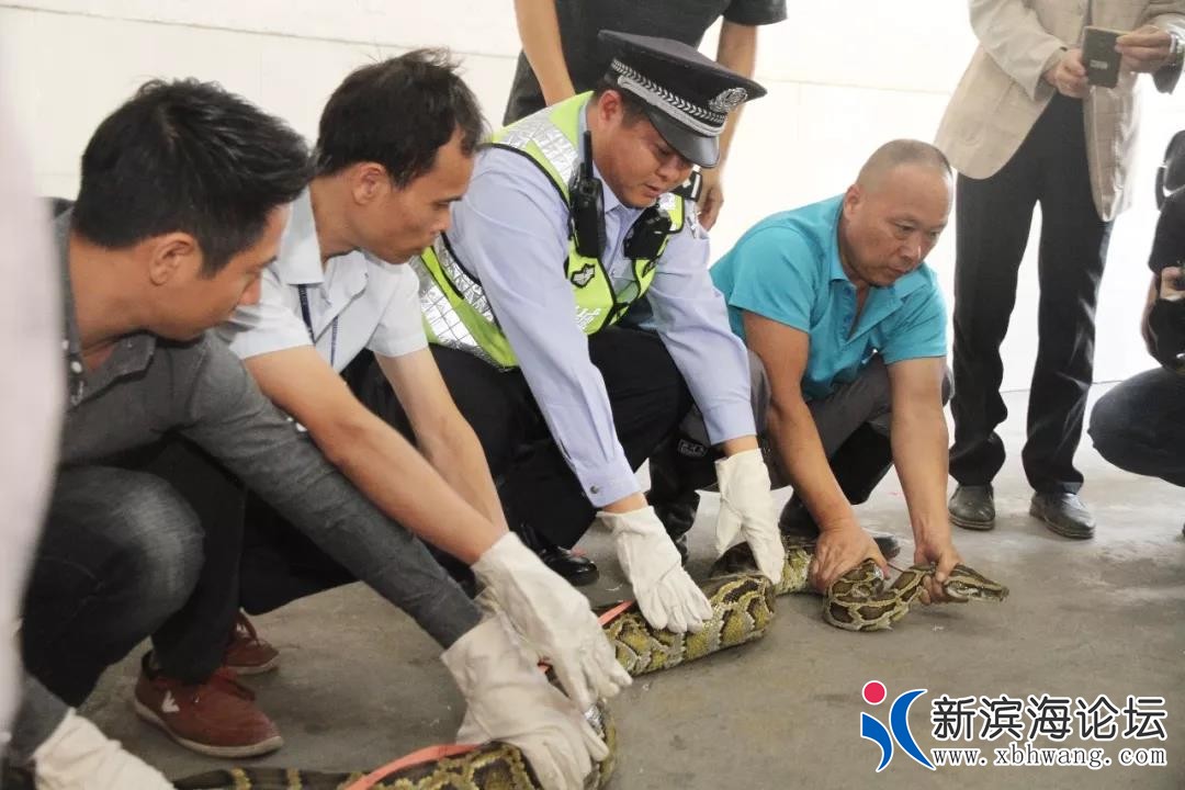 微信图片_20191117094858.jpg