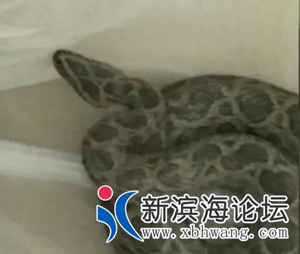 微信图片_20191117094901.jpg