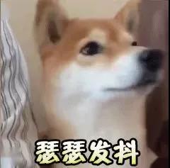 微信图片_20191117162124.jpg