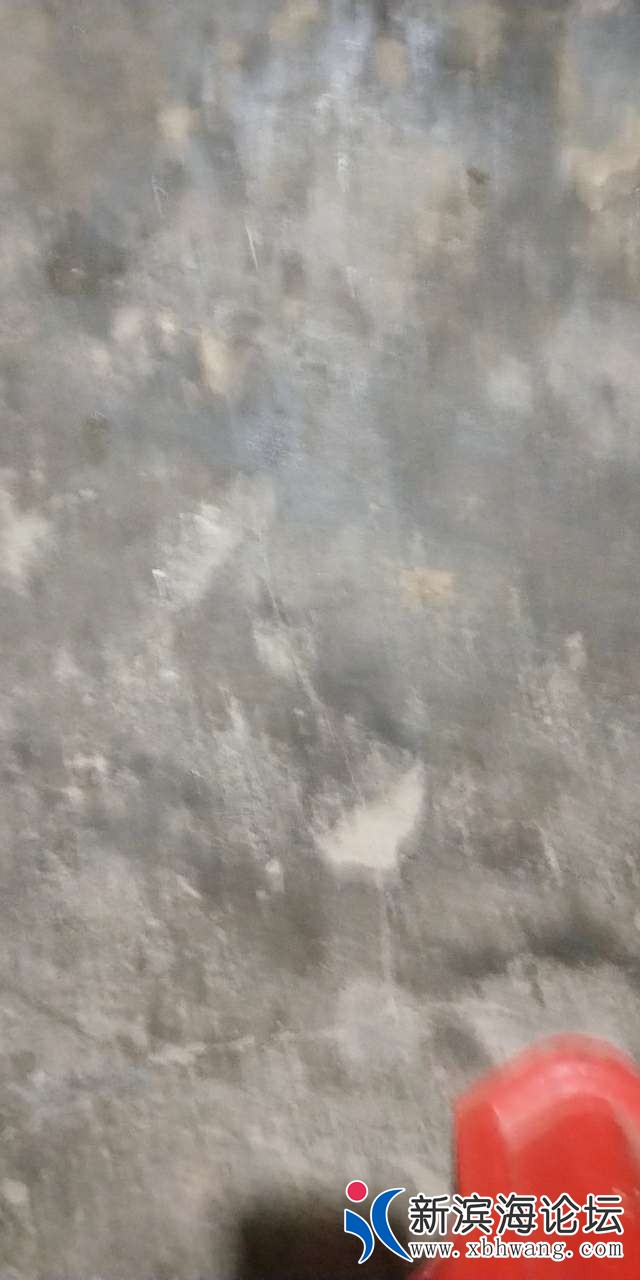 20191117_61317_1573985441006.jpg