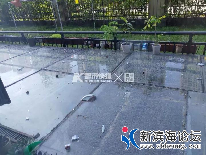 微信图片_20191119110029.jpg