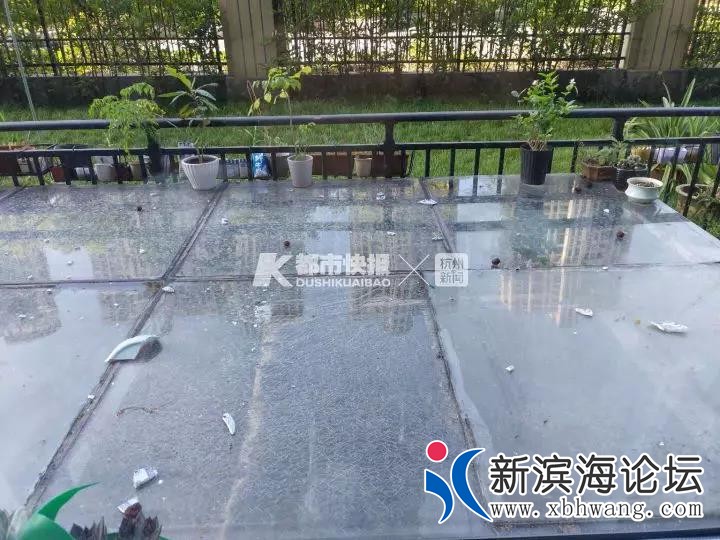 微信图片_20191119110020.jpg