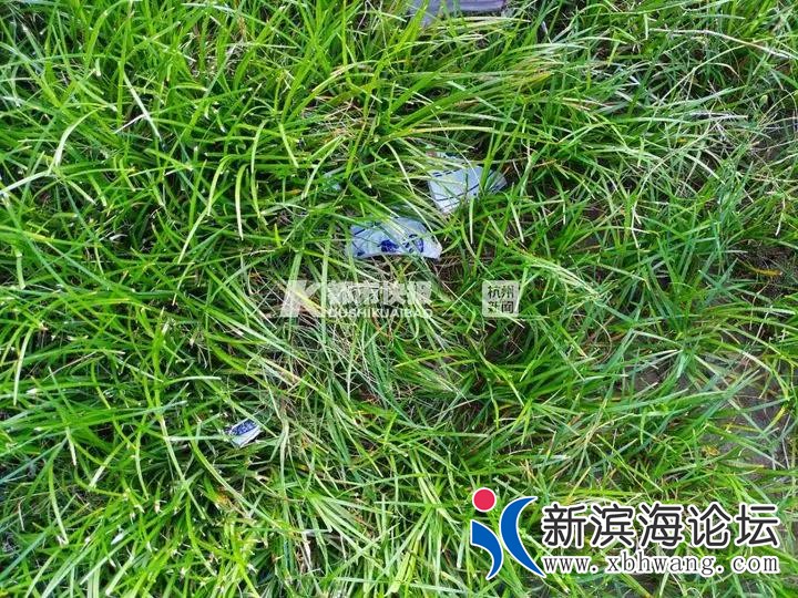 微信图片_20191119110041.jpg