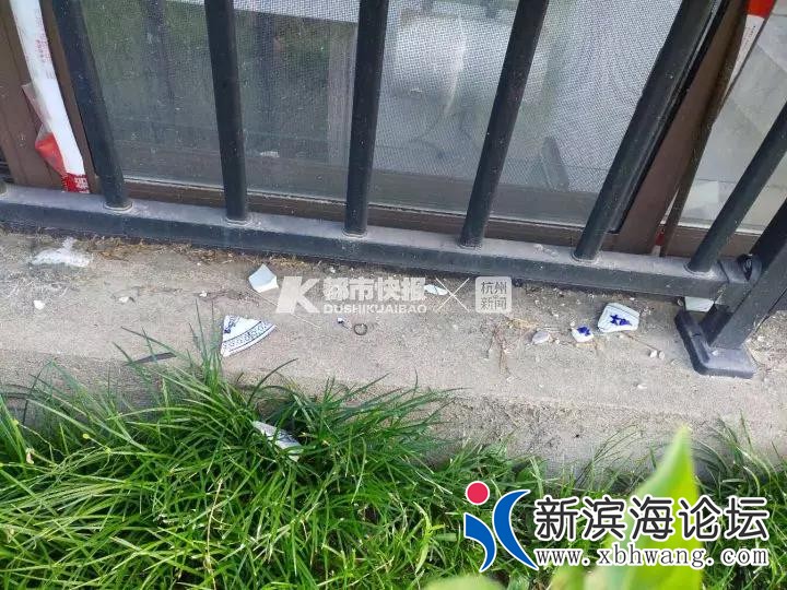 微信图片_20191119110045.jpg