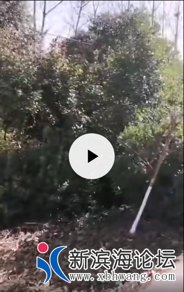 微信截图_20191119135425.png