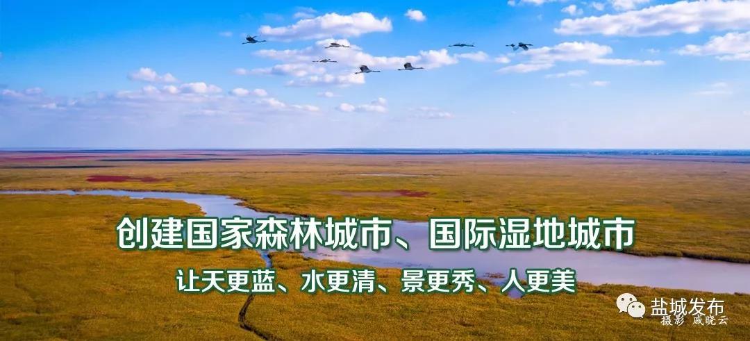 微信图片_20191120093254.jpg