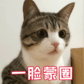 20191121_15974_1574338732461.gif