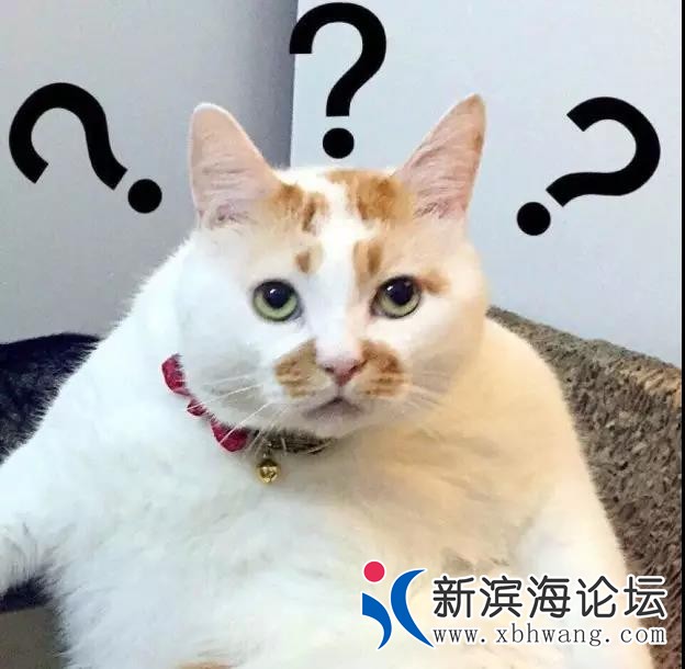 微信图片_20191122082649.jpg