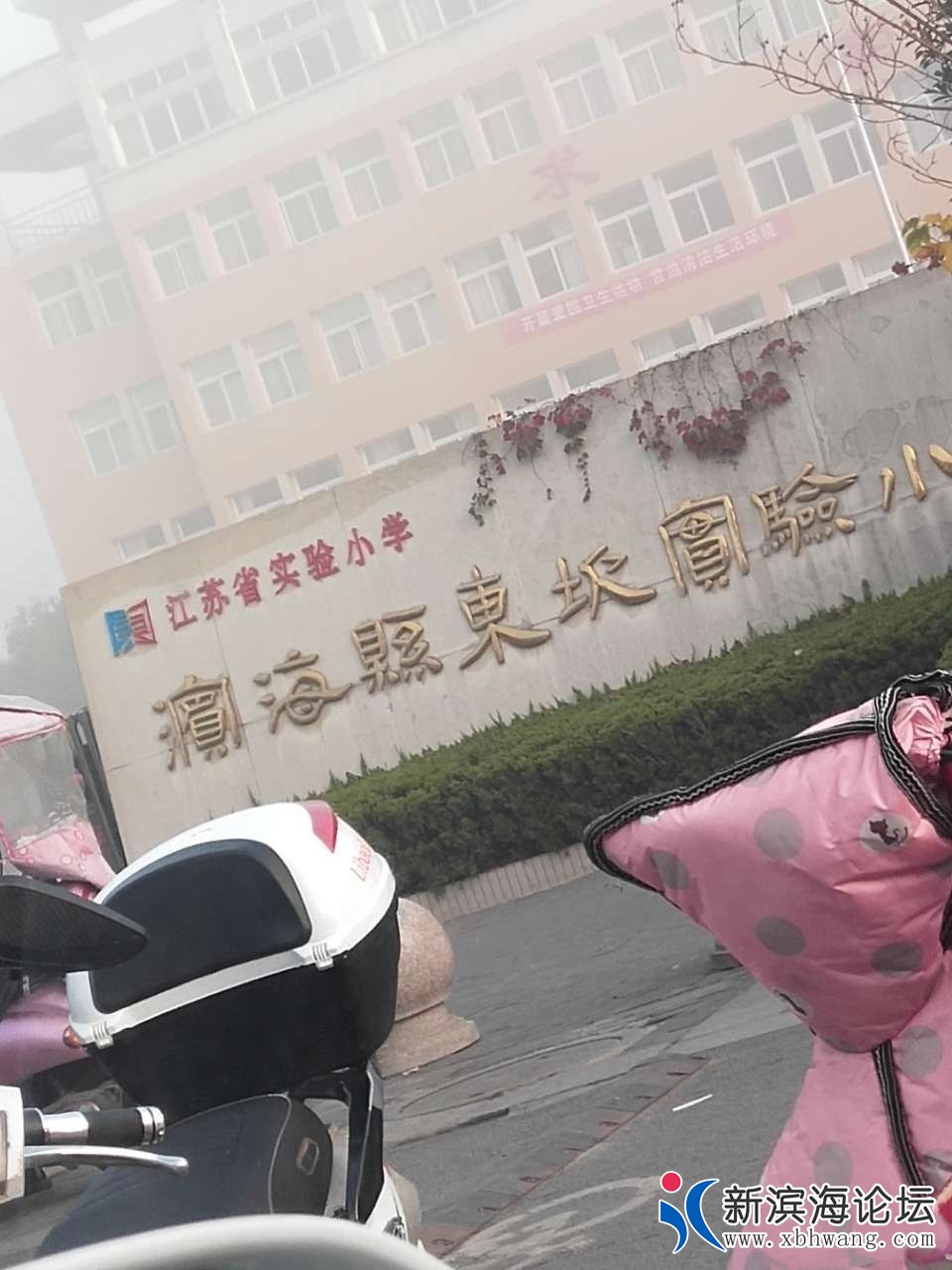 155404dppmgltlta0ph61d.jpg
