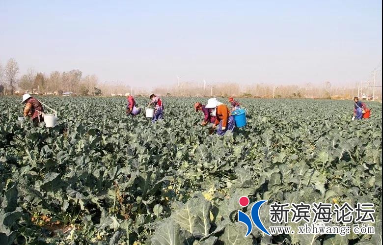 微信图片_20191123085218.jpg