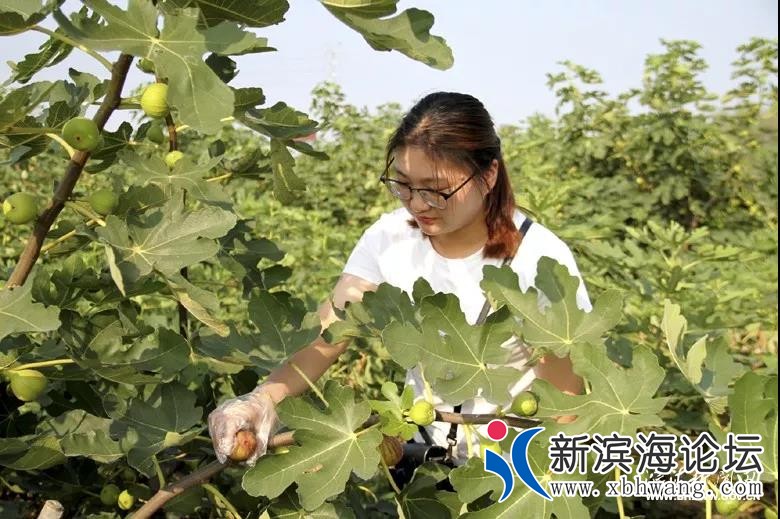 微信图片_20191123085214.jpg