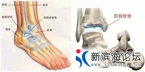 微信图片_20191123142502.jpg