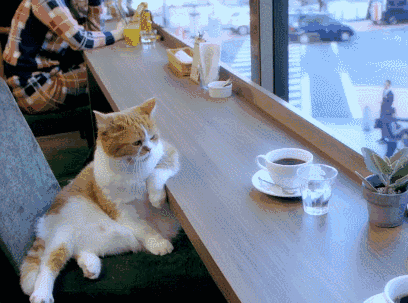 20191124_15974_1574595943512.gif