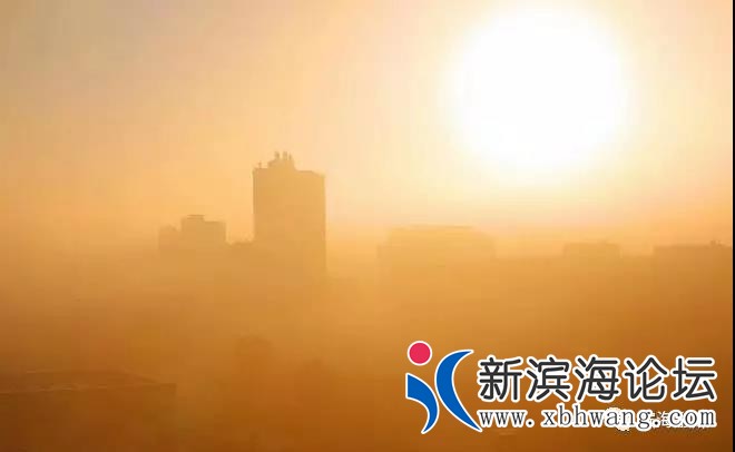 微信图片_20191126084735.jpg