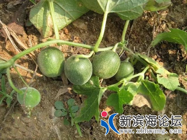 微信图片_20191127105234.jpg