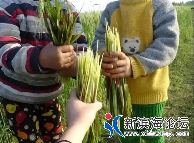 微信图片_20191127105238.jpg