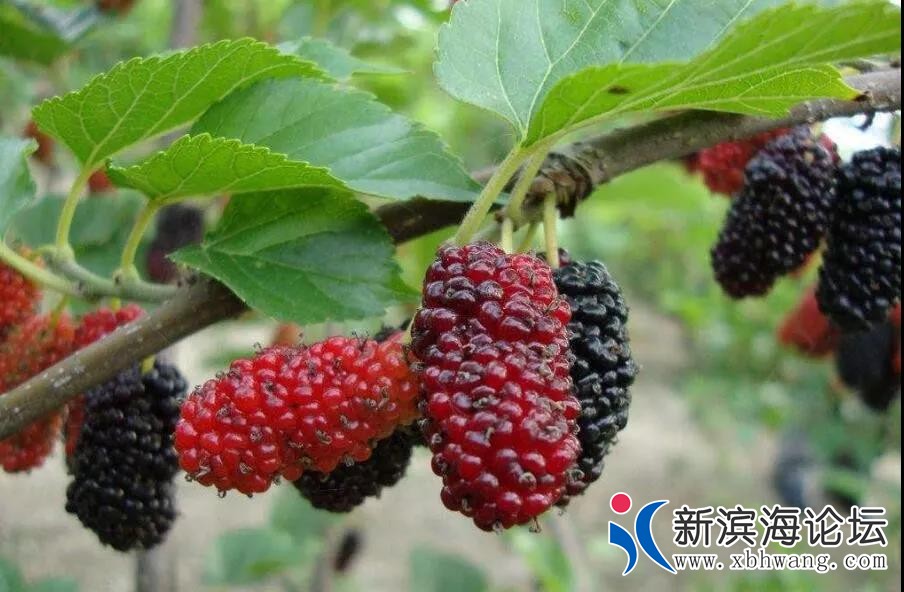 微信图片_20191127105248.jpg
