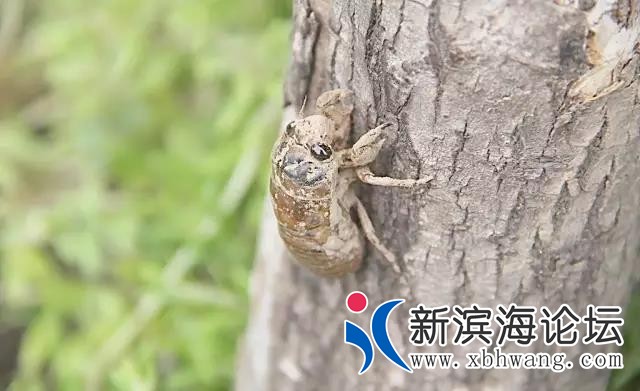 微信图片_20191127105252.jpg