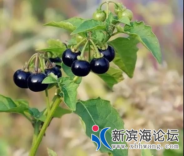 微信图片_20191127105301.jpg