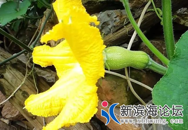 微信图片_20191127105306.jpg