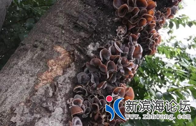 微信图片_20191127105309.jpg