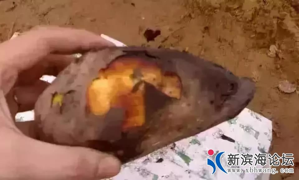 微信图片_20191127105325.jpg