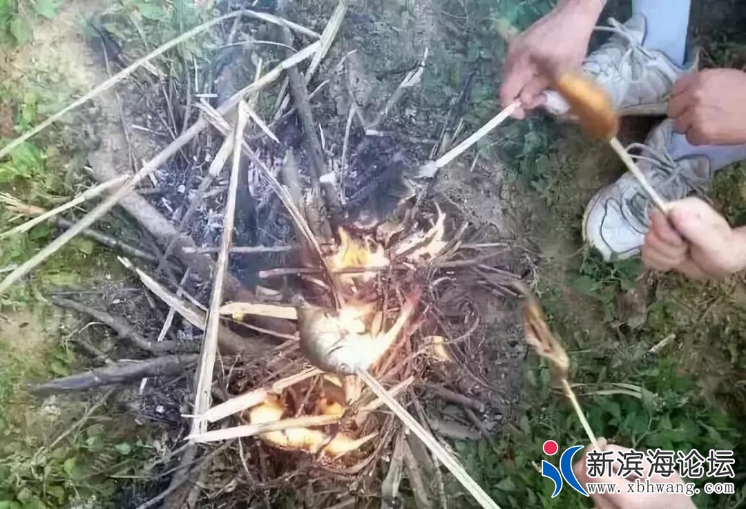 微信图片_20191127105334.jpg