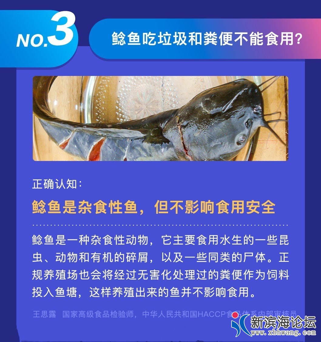 150436gfopoyrcyg3sccpr.jpg