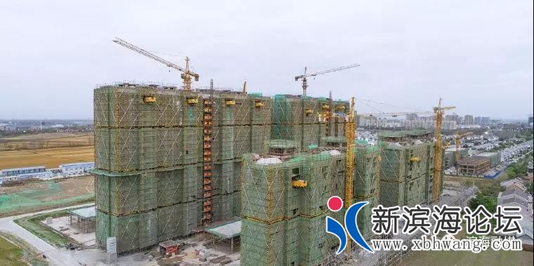 微信图片_20191128080848.jpg