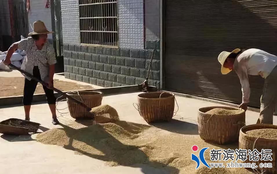 微信图片_20191128081048.jpg