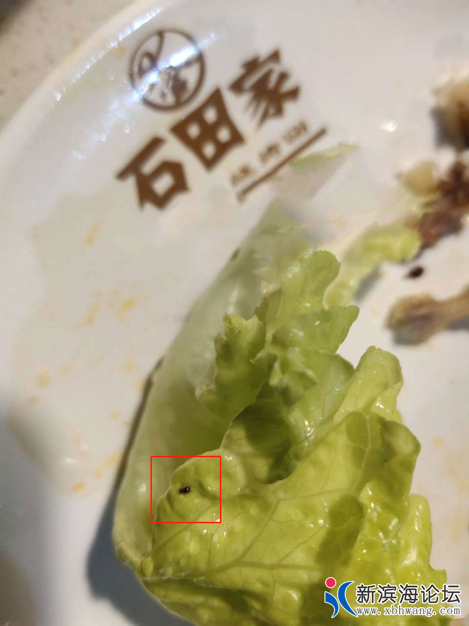 081803og55pmgaq5p7zgai.png