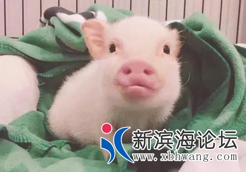 微信图片_20191201102610.jpg