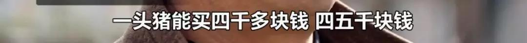 微信图片_20191201102942.jpg