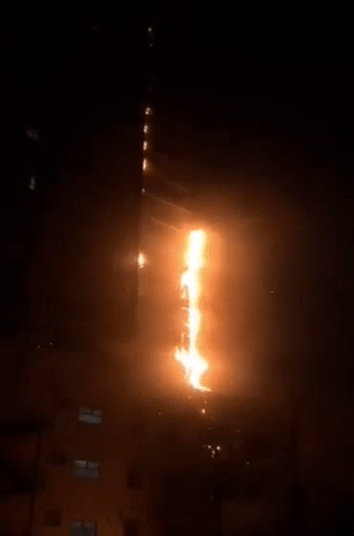 20191203_15974_1575332363652.gif