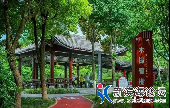 微信图片_20191206093600.jpg