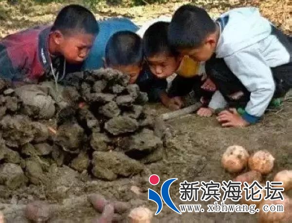 微信图片_20191207104705.jpg
