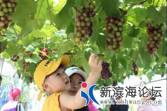 微信图片_20191208150332.jpg