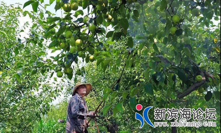 微信图片_20191208150339.jpg